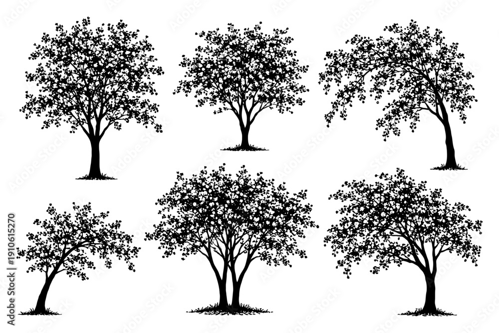 Fototapeta premium Black silhouette of six unique trees on white background.