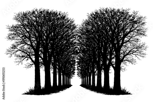 Symmetrical black and white tree avenue silhouette against white background.