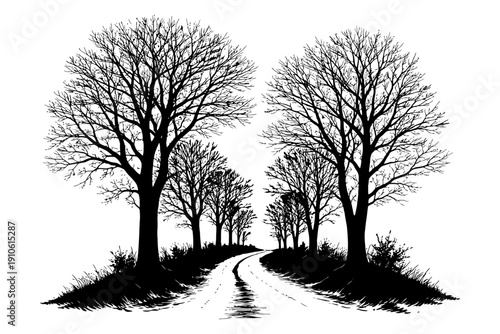Monochrome winter landscape with bare trees lining a serene pathway.