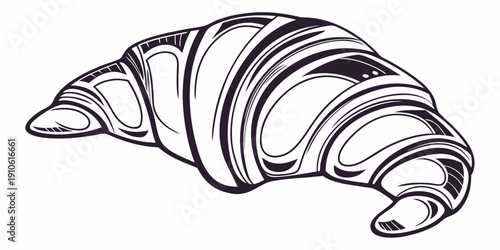 A detailed black and white illustration of a seashell with intricate patterns.