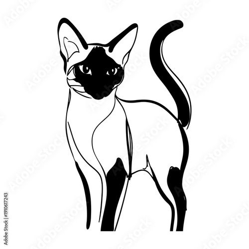 Dibujo con líneas de un gato siamés de pie