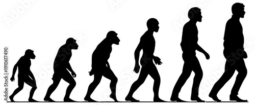 Human evolution illustration black silhouettes of man from ape to modern human walking in a row on white background symbolizing progress and development