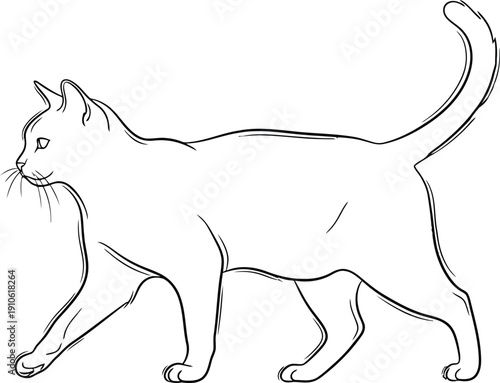 A simple line drawing of a cat walking with its tail raised high in the air.