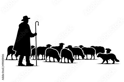 Silhouette of shepherd and sheepdog herding flock of sheep.
