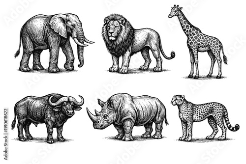 Vintage African animals engraving set, retro safari wildlife and exotic beast sketches in woodcut style