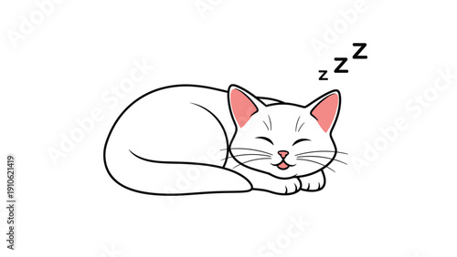 Sleeping white cat illustration curled up peacefully on a plain white background with cartoon zzz symbols above its head for nap time.