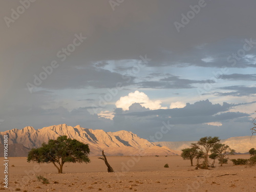 Bild auf Leinwand Namibia Wüstenlandschaft Sesriem