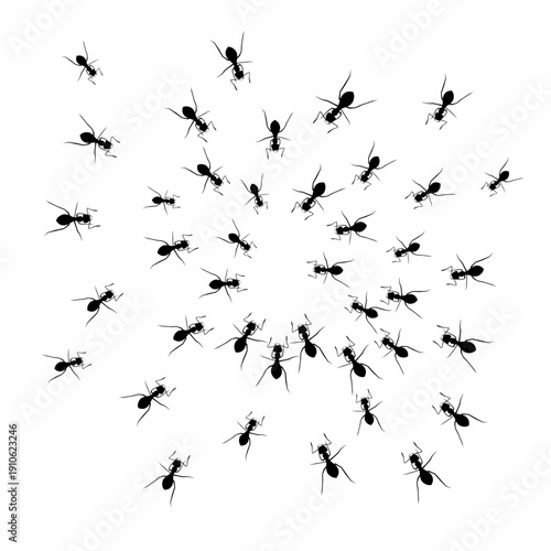 Vector silhouette of a group of ants on a white background. Hardworking insects.