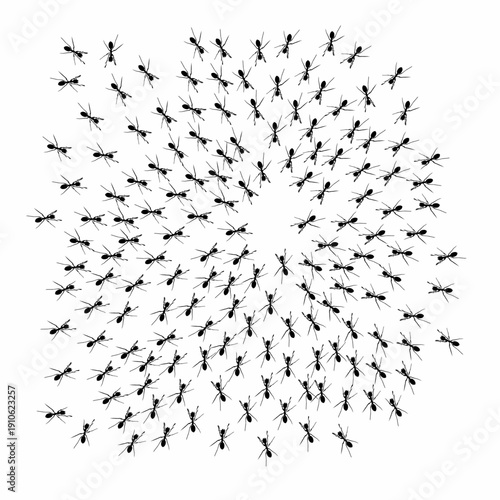 Vector illustration of a group of ants on a white background. All workers are looking for food. The concept of hard work.