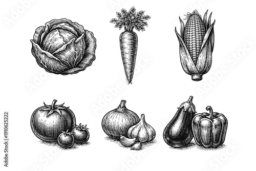Vintage garden vegetables engraving set, retro agricultural crop sketches in woodcut style isolated on white