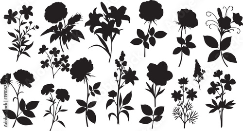 Wildflower silhouette set with meadow plants and leaves. Black botanical  for rustic wedding, crafts, and  Floral nature elements for prints, logos, and decor.