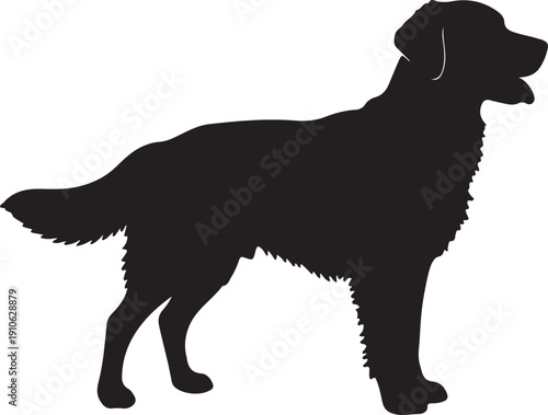  Buddy dog in silhouette on white background.