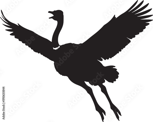 Ostrich flying opening the mouth on white background.