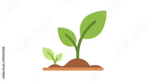Young plant seedling with vibrant green leaves sprouting from fertile soil on isolated white background.