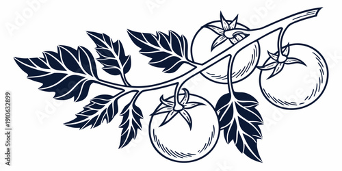 A detailed illustration of a tomato plant with ripe tomatoes and leaves.