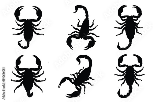 Set of Scorpion Silhouettes Isolated on White Background, Vector Arachnid Icons