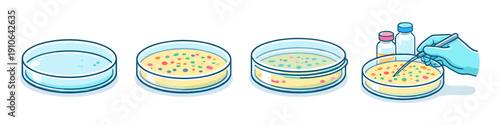 Microbiology experiment showing petri dish culture growth and inoculation process