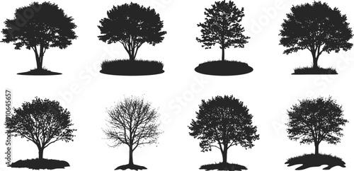 Collection of diverse tree silhouette illustrations showcasing unique canopy and trunk structures, perfect for botany, landscape design, art projects, and educational inspiration