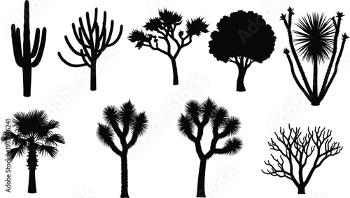 Silhouettes of diverse desert plants and trees including cacti, Joshua tree, shrubs, and arid flora showcasing ecological diversity for landscape design and botanical illustration