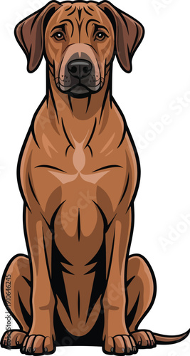 Cute cartoon a illustrator vector Rhodesian Ridgeback