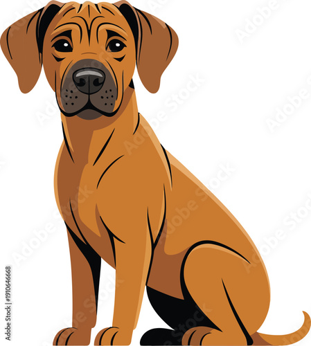 Cute cartoon a illustrator vector Rhodesian Ridgeback