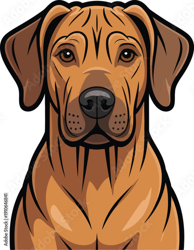 Cute cartoon a illustrator vector Rhodesian Ridgeback