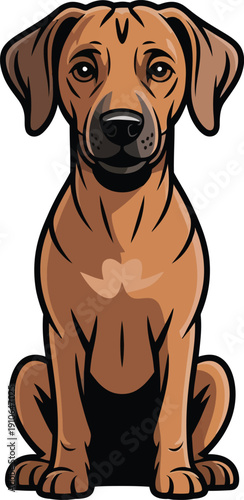 Cute cartoon a illustrator vector Rhodesian Ridgeback
