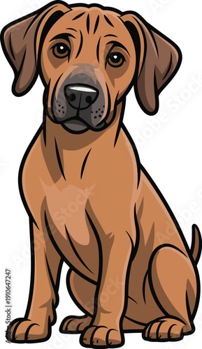Cute cartoon a illustrator vector Rhodesian Ridgeback