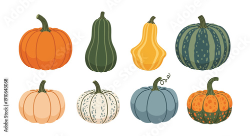 A colorful assortment of pumpkins and gourds in a flat illustration