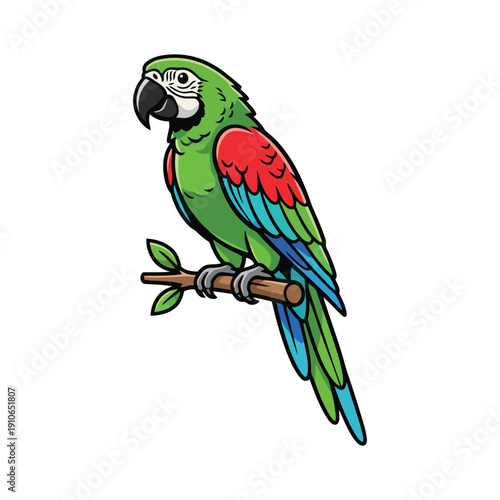 Colorful Tropical Parrot Vector Illustration