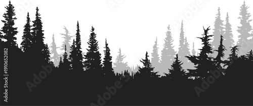 Dark silhouette of a dense pine forest stretching across a misty horizon, creating a moody and atmospheric landscape.