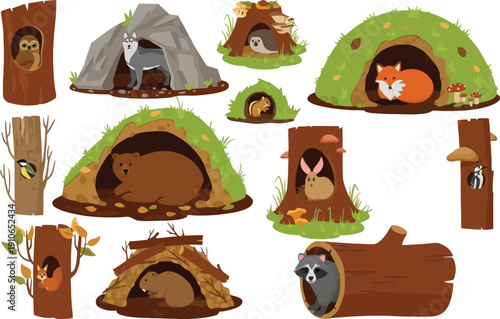 Cute cartoon illustration of woodland animals in their natural habitats, including owls, foxes, bears, rabbits, and raccoons.