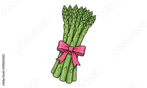 Asparagus Bunch Tied with Pink Ribbon Bow Hand Drawn Illustration