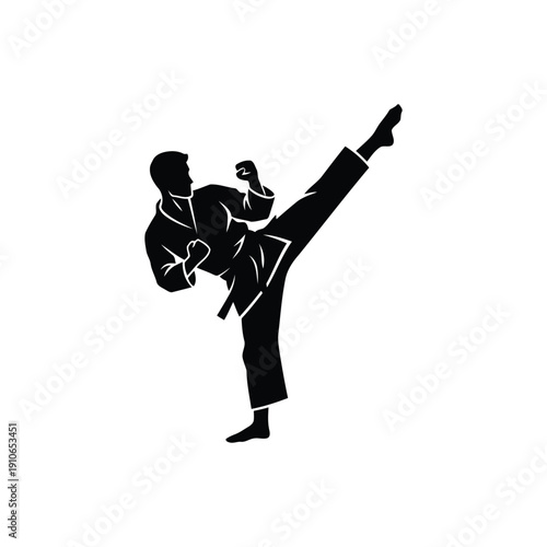 Martial Artist Silhouette Performing High Side Kick