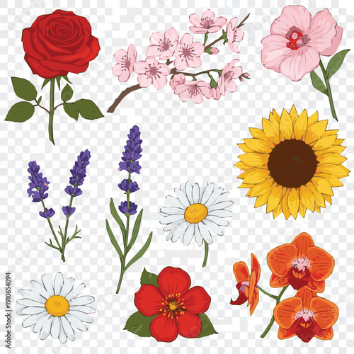 Seamless background with flowers.Different kinds of various beautiful blooming flowers isolated on transparent background.Vector isolated set