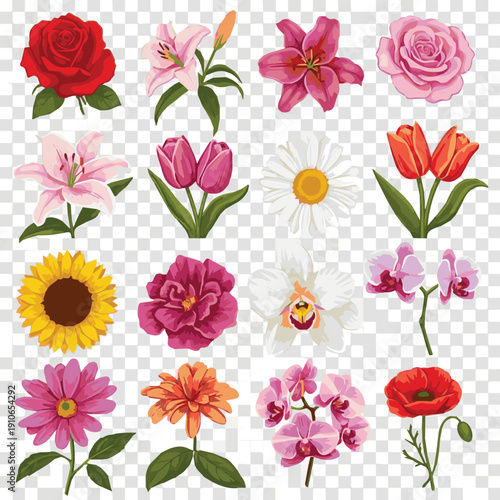 Create a different kinds of various beautiful blooming flowers isolated on transparent background.Vector isolated set