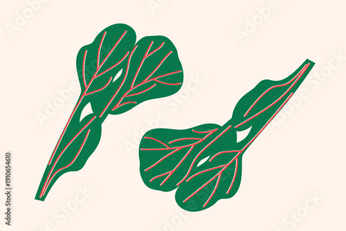 Art & Illustration Green Herbs and Leaves Vector Illustration, Fresh Organic Vegetables Isolated on White, Flat Minimal Food Design for Banner, Packaging and Grocery Market