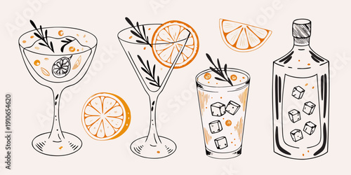 Hand drawn illustration of cocktails oranges and a gin bottle