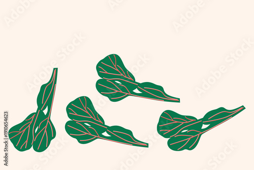 Art & Illustration Green Herbs and Leaves Vector Illustration, Fresh Organic Vegetables Isolated on White, Flat Minimal Food Design for Banner, Packaging and Grocery Market