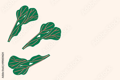 Art & Illustration Green Herbs and Leaves Vector Illustration, Fresh Organic Vegetables Isolated on White, Flat Minimal Food Design for Banner, Packaging and Grocery Market