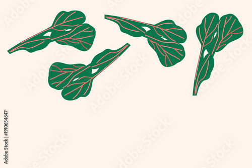 Art & Illustration Green Herbs and Leaves Vector Illustration, Fresh Organic Vegetables Isolated on White, Flat Minimal Food Design for Banner, Packaging and Grocery Market