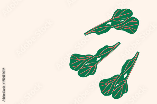 Art & Illustration Green Herbs and Leaves Vector Illustration, Fresh Organic Vegetables Isolated on White, Flat Minimal Food Design for Banner, Packaging and Grocery Market