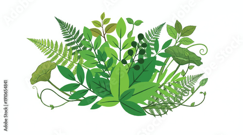Collection of various green leaves and plants on white
