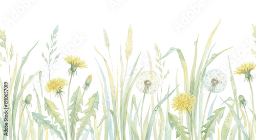 Watercolor clipart, bottom edge floral border of a spring meadow, tall wild grasses, blooming dandelions, and morning dew drops, soft green and yellow pastel palette, isolated on white background