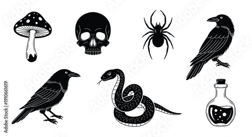 Halloween themed illustration featuring a skull mushrooms snake and birds