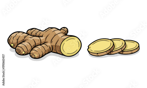 Whole and Sliced Ginger Root Rhizome Doodle Illustration on White