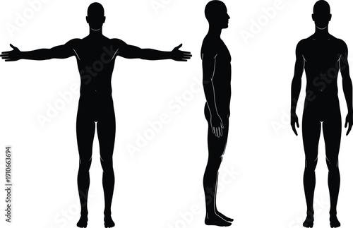 Male human body front side and back view silhouette set isolated on white background vector illustration