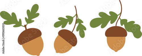 Stylized illustration of acorns with oak leaves, symbolizing autumn season, nature, forest elements, fall harvest themes, and botanical design for creative and educational concepts.