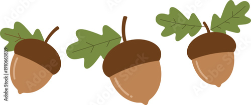 Acorn illustration set featuring cute autumn oak nuts with leaves, simple flat vector collection isolated for fall season design, nature decoration and botanical graphics