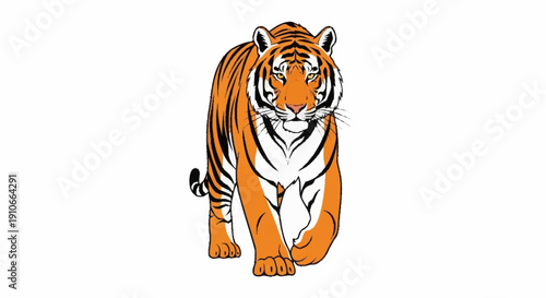 Majestic Tiger Walking Forward Illustration.